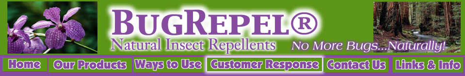 Bugrepel - Customer Response